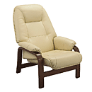 �f���b�N�X�����֎q�@YS1797�A�C�{���[