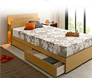 �I�Ɩ����o�t�f�U�C���x�b�hA243�i�`������