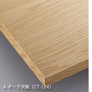 AI[N˔iCT-124j
