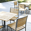 �f�j���O�K�[�f��5�_�Z�b�g