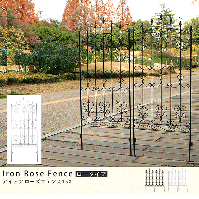 p ACAtFX [^Cv K[ftFX AeB[N[YtFX150 IFROSE-150