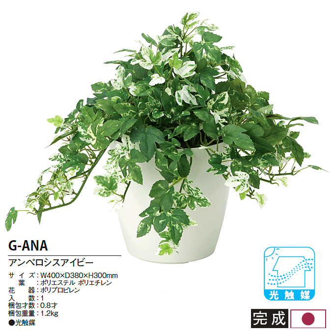 人工植物 光触媒 アートグリーン アンペロシスアイビー G-ANA