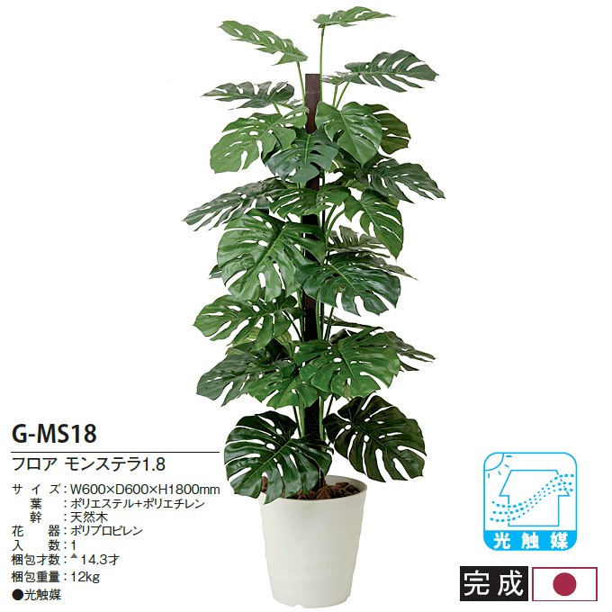 人工植物 光触媒 アートグリーン フロア モンステラ1.8m G-MS18