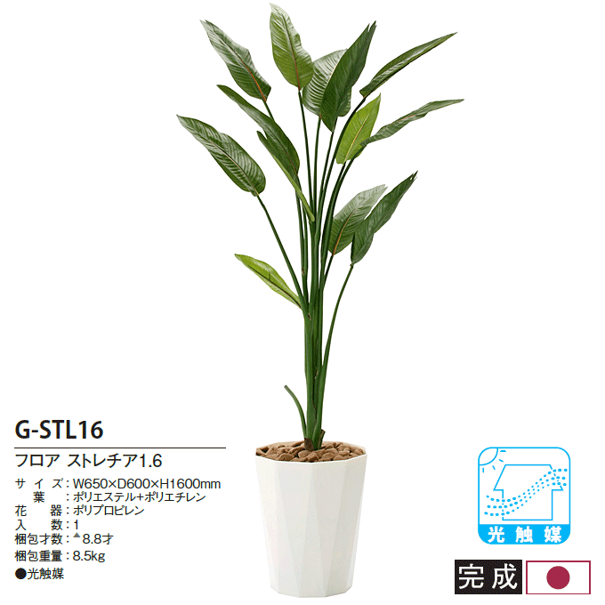 人工植物 光触媒 アートグリーン ストレチア1.6m G-STL16