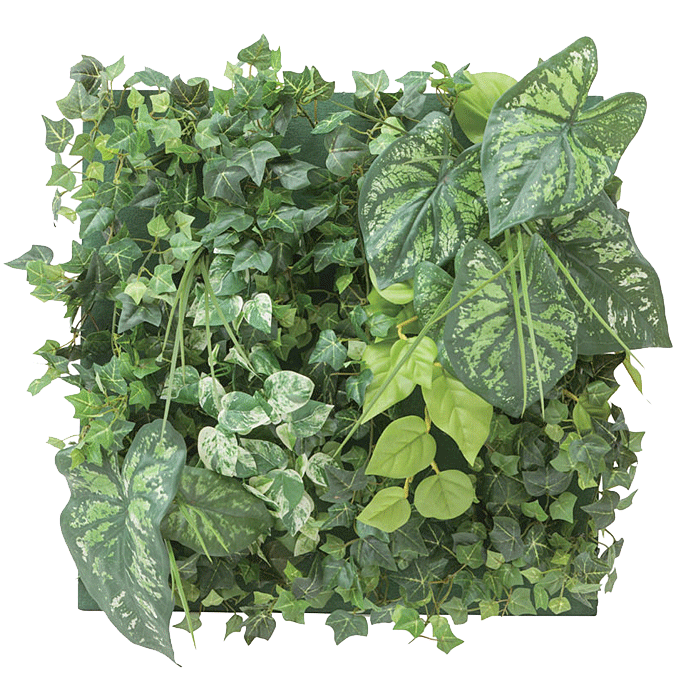 人工植物 壁面アレンジ 45×45cm 壁面緑化 F カラジューム GD-201F