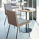 �V�����g