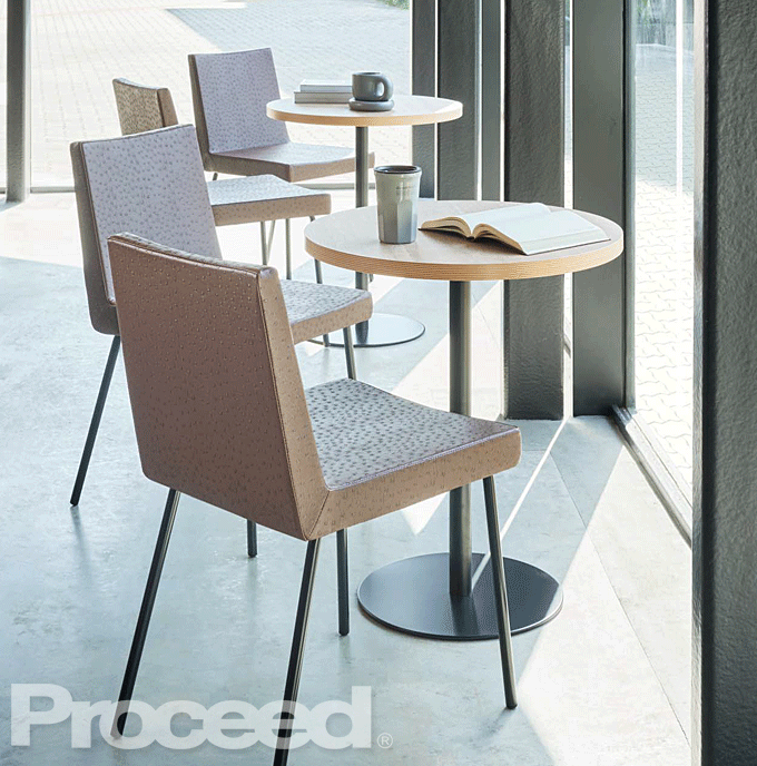 X`[֎q ItBX Xg`FA Vg vV[h ƖpƋ