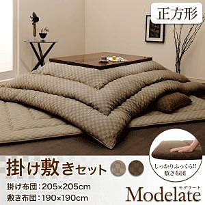 |~zcZbg ubN`FbN Modelate f[g `