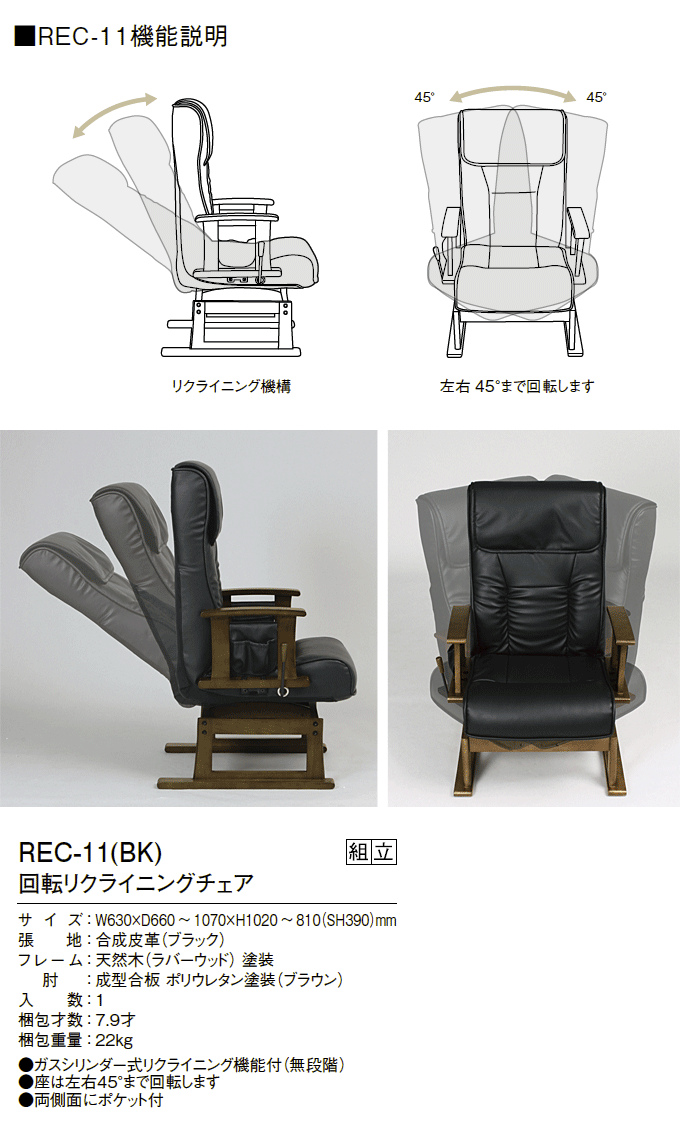 ]NCjO`FA@REC-11(BK)̏i