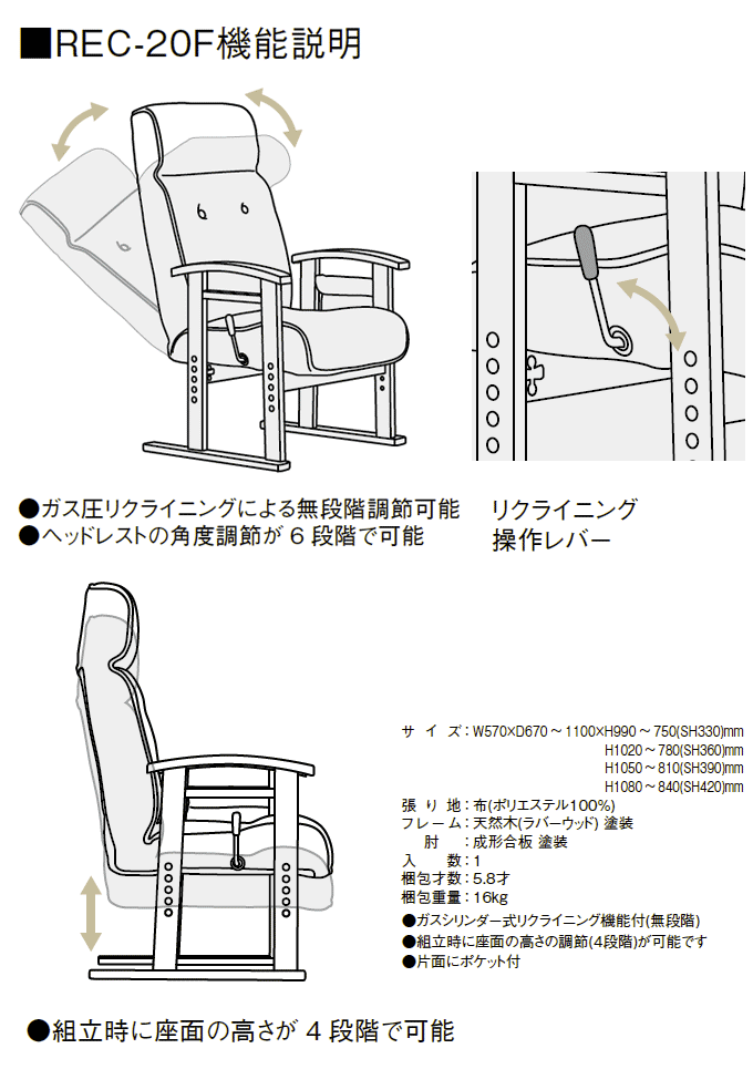 NCjO`FA@REC-20F̏i