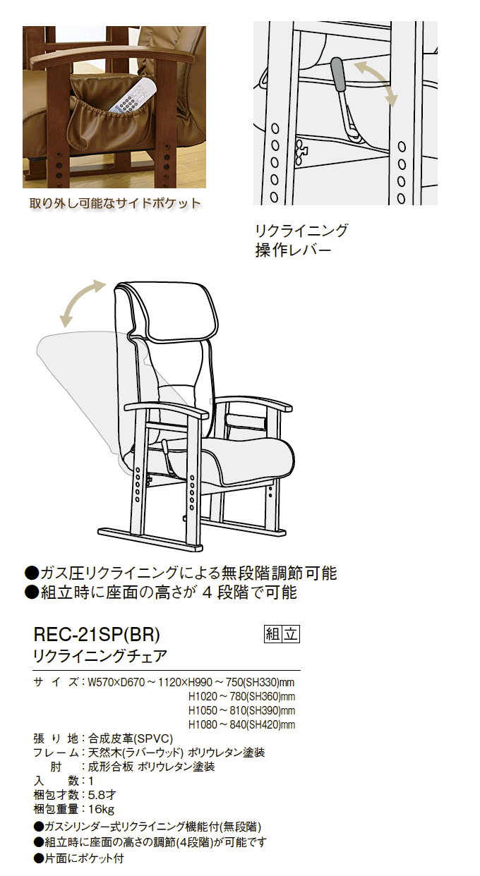 NCjO`FA@REC-21SP(BR)̏i